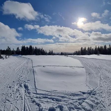 Lillehammer, Nordseter, Sjusjoen Дом отдыха *