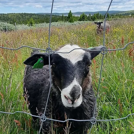 Feriehus Lillehammer, Nordseter, Sjusjoen
