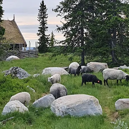 Lillehammer, Nordseter, Sjusjoen *