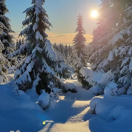 Lillehammer, Nordseter, Sjusjoen