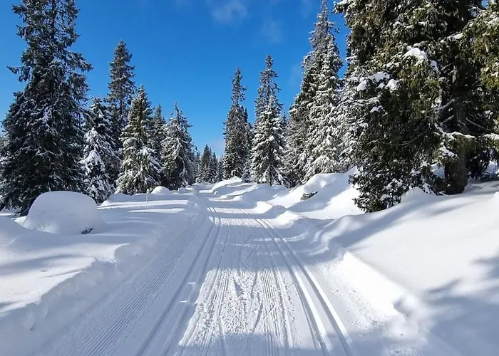 Lillehammer, Nordseter, Sjusjøen