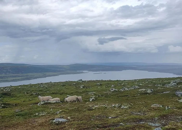Feriehus Lillehammer, Nordseter, Sjusjøen *