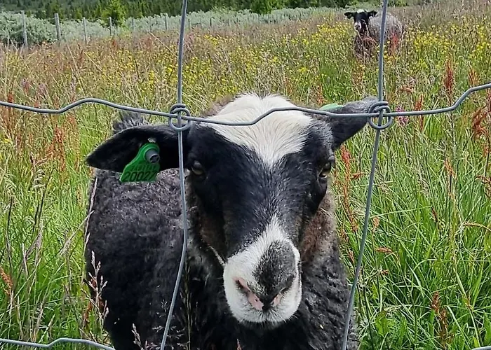 Feriehus Lillehammer, Nordseter, Sjusjøen