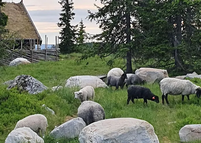 Lillehammer, Nordseter, Sjusjøen *