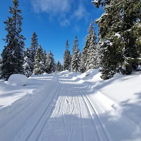 Lillehammer, Nordseter, Sjusjoen